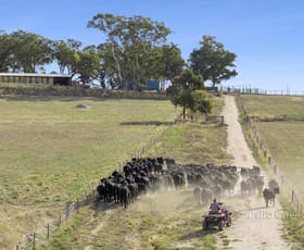 Rural / Farming commercial property for sale at 284 Blackhill Road Kyneton VIC 3444