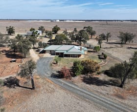 Rural / Farming commercial property for sale at 315 Ham Road Moama NSW 2731