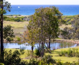 Rural / Farming commercial property for sale at 620 Wallaga Lake Road Bermagui NSW 2546