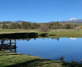 Rural / Farming commercial property for sale at 439 Buttercup Road Merrijig VIC 3723