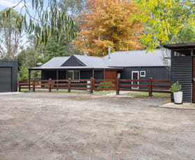 Rural / Farming commercial property for sale at 439 Buttercup Road Merrijig VIC 3723