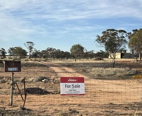 Rural / Farming commercial property for sale at 27068 & 50 Chandler Road Merredin WA 6415