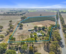 Rural / Farming commercial property for sale at 1872 Katamatite-Shepparton Road Marungi VIC 3634
