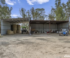 Rural / Farming commercial property for sale at 1484 Pranjip Road Pranjip VIC 3666