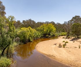 Rural / Farming commercial property for sale at 8136 Kings Highway Bungendore NSW 2621 Rural / Farming commercial property for sale at 8136 Kings Highway Bungendore NSW 2621