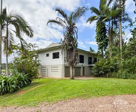 Rural / Farming commercial property for sale at 1000 Mossman Mount Molloy Road Julatten QLD 4871