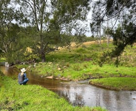 Rural / Farming commercial property for sale at 3 Demon Creek Road Tenterfield NSW 2372