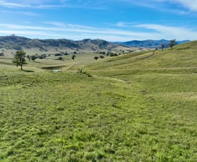 Rural / Farming commercial property for sale at "Colly View" Glen Creek Road Scone NSW 2337