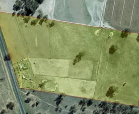 Rural / Farming commercial property for sale at 8628 Lachlan Valley Way Forbes NSW 2871