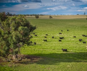 Rural / Farming commercial property for sale at Talbragar 42R Mendooran Road Dubbo NSW 2830