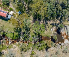 Rural / Farming commercial property for sale at Tenterfield NSW 2372