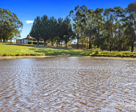 Rural / Farming commercial property for sale at 164 Burns Road Glenburn VIC 3717