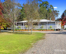 Rural / Farming commercial property for sale at 164 Burns Road Glenburn VIC 3717