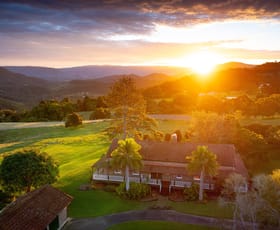 Rural / Farming commercial property for sale at 525 Maleny Kenilworth Road Witta QLD 4552