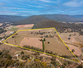 Rural / Farming commercial property for sale at 1870 Benalla-Whitfield Road Myrrhee VIC 3732