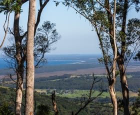 Rural / Farming commercial property for sale at 236a Tullouch Road Broughton Vale NSW 2535