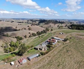 Rural / Farming commercial property for sale at 75 Hoy Road Mountain View VIC 3988