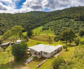Rural / Farming commercial property for sale at Kanigan QLD 4570