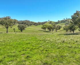 Rural / Farming commercial property for sale at 'East Lynne' Glen Barra Road Manilla NSW 2346