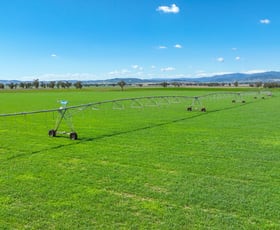 Rural / Farming commercial property for sale at Balcary & Hazelwood Balcarry Lane Tamworth NSW 2340