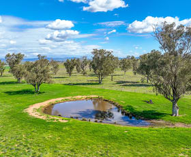 Rural / Farming commercial property for sale at Balcary & Hazelwood Balcarry Lane Tamworth NSW 2340