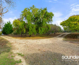 Rural / Farming commercial property for sale at 4034 Bridport Road Pipers Brook TAS 7254