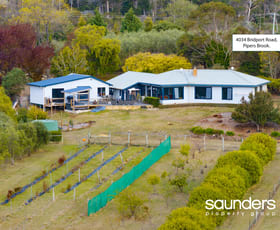 Rural / Farming commercial property for sale at 4034 Bridport Road Pipers Brook TAS 7254