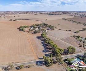 Rural / Farming commercial property for sale at 1282 Curio Highway Buchanan SA 5374
