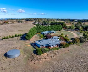 Rural / Farming commercial property for sale at 118 Woodhouselee Road Wayo NSW 2580