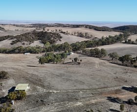 Rural / Farming commercial property for sale at 548 Mills Rd Beetaloo Valley SA 5523