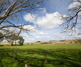 Rural / Farming commercial property for sale at 1381 Jerrawa Road Jerrawa NSW 2582