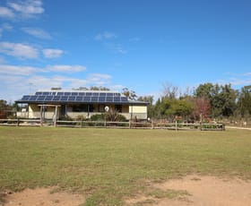 Rural / Farming commercial property for sale at 445 Old Stannifer Rd Gilgai Inverell NSW 2360