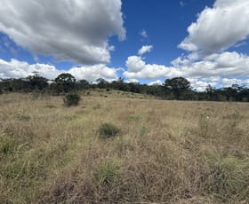 Rural / Farming commercial property for sale at Lot 1 & Lot 444 New England Highway Emu Creek QLD 4355