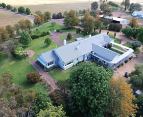 Rural / Farming commercial property for sale at 679 Adelargo Road Grenfell NSW 2810