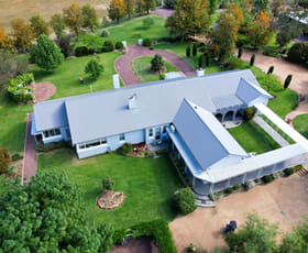 Rural / Farming commercial property for sale at 679 Adelargo Road Grenfell NSW 2810