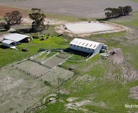 Rural / Farming commercial property for sale at 1987 Speddingup East Road Scaddan WA 6447
