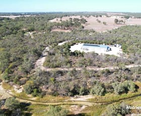 Rural / Farming commercial property for sale at 184 Melbourne Road Wanerie WA 6503