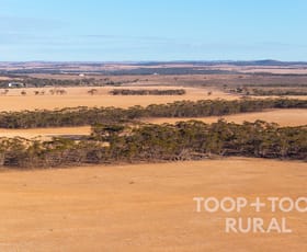 Rural / Farming commercial property for sale at 332/ Angle Road Brownlow SA 5374