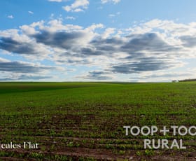 Rural / Farming commercial property for sale at 332/ Angle Road Brownlow SA 5374