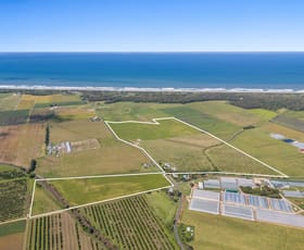 Rural / Farming commercial property for sale at 12 Patchs Beach Road East Wardell NSW 2477