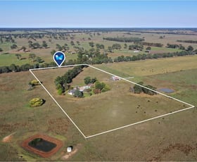 Rural / Farming commercial property for sale at 775 Ives Road Hillside VIC 3875