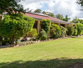 Rural / Farming commercial property for sale at 59 Drummond Road Rosenthal Heights QLD 4370