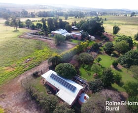 Rural / Farming commercial property for sale at 313 Bellbird rd Hodgleigh QLD 4610
