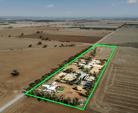 Rural / Farming commercial property for sale at 158 Molloy Road Templers SA 5371
