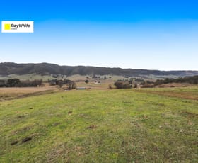 Rural / Farming commercial property for sale at 3 West Gilmore Road Tumut NSW 2720