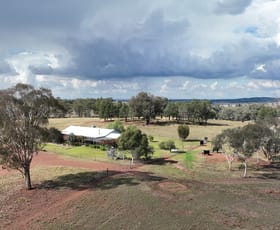 Rural / Farming commercial property for sale at 'Stampede' 200R Obley Road Dubbo NSW 2830