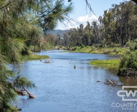 Rural / Farming commercial property for sale at 63, 9699 Bruxner Way Bonshaw NSW 2361