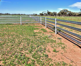 Rural / Farming commercial property for sale at Narran Lake Road Brewarrina NSW 2839