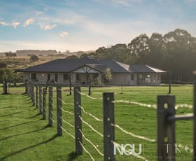 Rural / Farming commercial property for sale at Haigslea QLD 4306