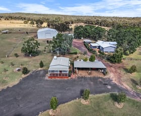 Rural / Farming commercial property for sale at 2068 Spring Ridge Road Gulgong NSW 2852